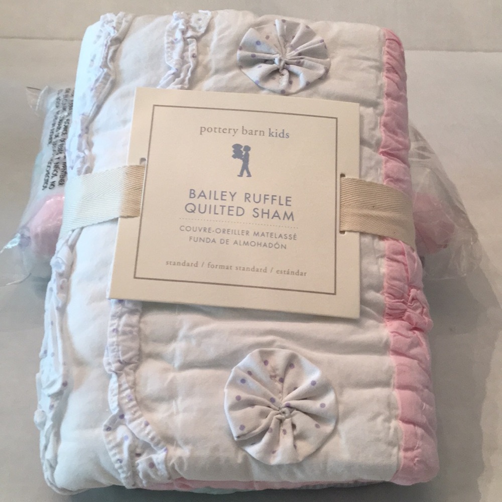 Pottery Barn Kids set of two shams